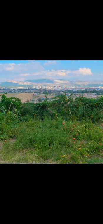 GÜVENAY - ÇORUM İBRAHİMÇAYIRI ARKASI SATILIK 1850 M² BAĞ