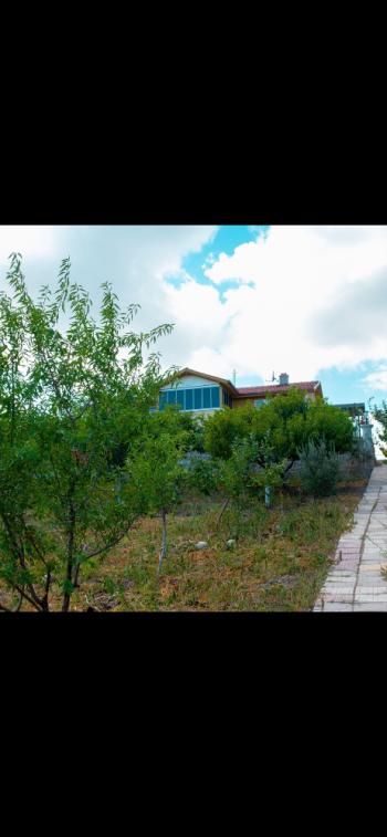 GÜVENAY - ÇORUM İBRAHİMÇAYIRI ARKASI SATILIK 1850 M² BAĞ