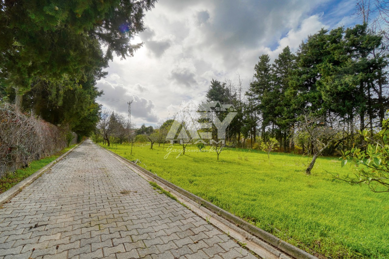 Urla'da 6.315 m2 arazi içinde Yatay Mimaride yapılmış, Havuzlu, 6+1 ,Tam Müstakil Villa