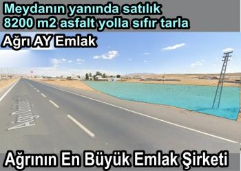 MEYDANA VARMADAN (HAYVAN PAZARINA)  8200M2 ASFALT YOLA CEPHELİ SATILIK TARLA