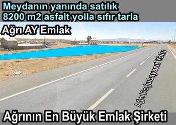 MEYDANA VARMADAN (HAYVAN PAZARINA)  8200M2 ASFALT YOLA CEPHELİ SATILIK TARLA