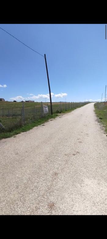 GÜVENAY - ÇORUM KAVACIK KÖYÜ CİVARI SATILIK HOBİ BAHÇELERİ