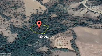 ACİL SATILIK LAÇİN'DE 2,520 M² TEK TAPU BAĞ