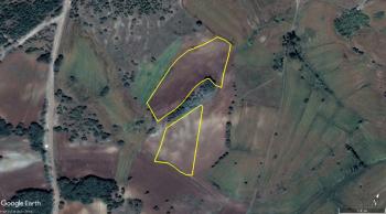 GÜVENAY - ÇORUM EVCİORTAKIŞLA KÖYÜ 16,133 M² SATILIK TARLA