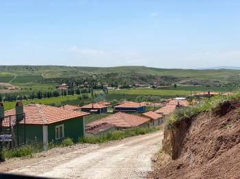 GÜVENAY - ÇORUM SARMAŞA KÖYÜ KARŞISINDA 500 M² SATILIK  BAHÇE