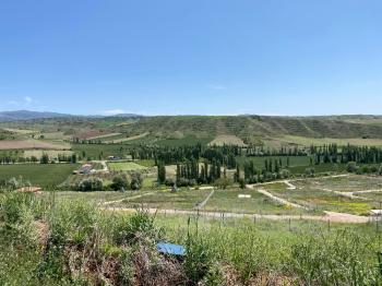 GÜVENAY - ÇORUM SARMAŞA KÖYÜ KARŞISINDA 500 M² SATILIK  BAHÇE