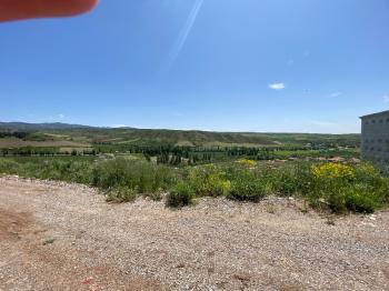 GÜVENAY - ÇORUM SARMAŞA KÖYÜ KARŞISINDA 500 M² SATILIK  BAHÇE