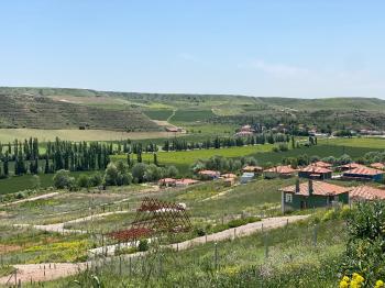 GÜVENAY - ÇORUM SARMAŞA KÖYÜ KARŞISINDA 500 M² SATILIK  BAHÇE