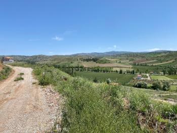 GÜVENAY - ÇORUM SARMAŞA KÖYÜ KARŞISINDA 500 M² SATILIK  BAHÇE