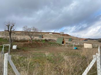 GÜVENAY - ÇORUM SARMAŞA KÖYÜ KARŞISINDA 500 M² SATILIK  BAHÇE