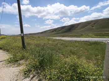 GÜVENAY - ÇORUM YENİ OSMANCIK YOLU ÜZERİ 475 M² SATILIK BAHÇE