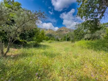 Marmaris Turunç Dereözü 800 m2 20/40 Villa İmarlı Köşe Parsel Arsa