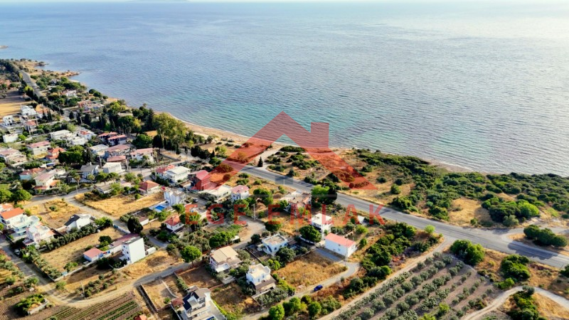 Didimde Kenarında Arsa Satılık Deniz 