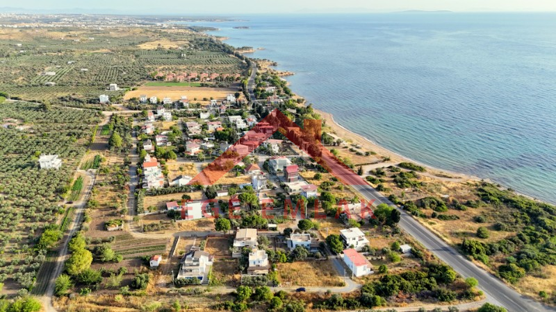 Didimde Kenarında Arsa Satılık Deniz 