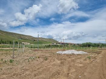 GÜVENAY - ÇORUM SARMAŞA KÖYÜ KARŞISI SATILIK HOBİ BAHÇELERİ