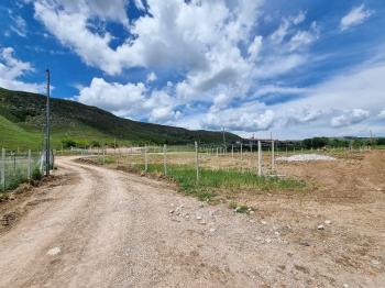 GÜVENAY - ÇORUM SARMAŞA KÖYÜ KARŞISI SATILIK HOBİ BAHÇELERİ