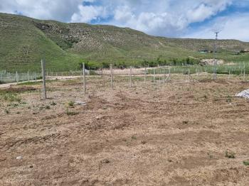 GÜVENAY - ÇORUM SARMAŞA KÖYÜ KARŞISI SATILIK HOBİ BAHÇELERİ