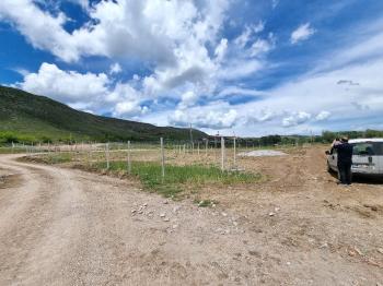GÜVENAY - ÇORUM SARMAŞA KÖYÜ KARŞISI SATILIK HOBİ BAHÇELERİ
