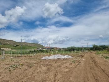 GÜVENAY - ÇORUM SARMAŞA KÖYÜ KARŞISI SATILIK HOBİ BAHÇELERİ