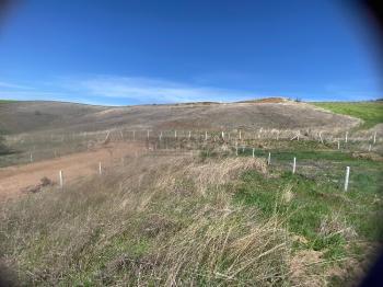 Güvenay - Çorum Serpin Köyü Civarı Acil Satılık 500 M² Satılık Bahçe