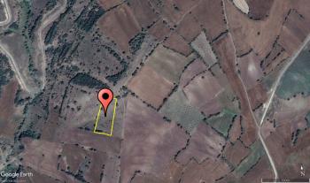 GÜVENAY - ÇORUM MERKEZ ERTUĞRUL KÖYÜ 5,737 M² TARLA