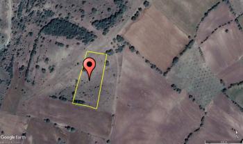 GÜVENAY - ÇORUM MERKEZ ERTUĞRUL KÖYÜ 5,737 M² TARLA