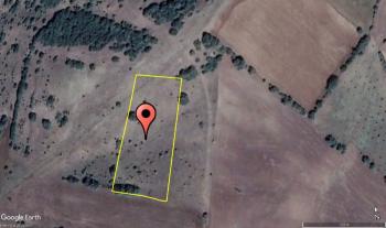 GÜVENAY - ÇORUM MERKEZ ERTUĞRUL KÖYÜ 5,737 M² TARLA