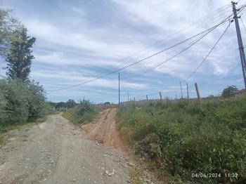 GÜVENAY - ÇORUM ALİKİ BAĞLARI GİRİŞİ 500 M² SATILIK BAHÇELER 