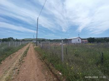 GÜVENAY - ÇORUM ALİKİ BAĞLARI GİRİŞİ 500 M² SATILIK BAHÇELER 