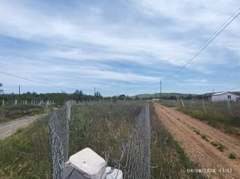 GÜVENAY - ÇORUM ALİKİ BAĞLARI GİRİŞİ 500 M² SATILIK BAHÇELER 