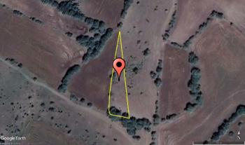 GÜVENAY - ÇORUM ERTUĞRUL KÖYÜ 1,289 M² TARLA