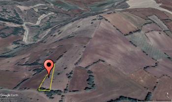 GÜVENAY - ÇORUM ERTUĞRUL KÖYÜ 1,289 M² TARLA