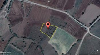 GÜVENAY - ÇORUM YENİ HAYAT KÖYÜ YANI 2,400 M² TARLA