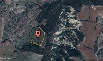 GÜVENAY - ÇORUM ERTUĞRUL KÖYÜ GÖKDERE KÖYÜ ARASI 9,192 M² TARLA