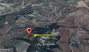 GÜVENAY - ÇORUM ERTUĞRUL KÖYÜ GÖKDERE KÖYÜ ARASI 9,192 M² TARLA