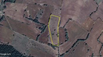 GÜVENAY - ÇORUM ERTUĞRUL KÖYÜ VE GÖKDERE KÖYÜ ARASI 6,572 M² TARLA