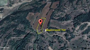 GÜVENAY - ÇORUM ERTUĞRUL KÖYÜ GÜNEYİ 3,700 M² TARLA