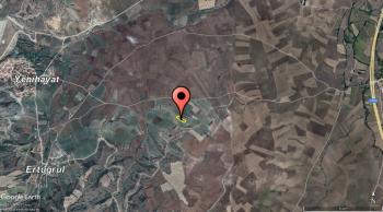 GÜVENAY - ÇORUM YENİ HAYAT KÖYÜ DOĞUSU 3,145 M² TARLA