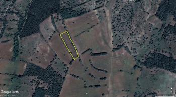 GÜVENAY - ÇORUM ERTUĞRUL KÖYÜ GÜNEYİNDE 3.725 M² TARLA