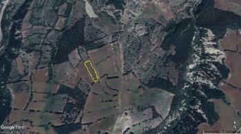 GÜVENAY - ÇORUM ERTUĞRUL KÖYÜ GÜNEYİNDE 3.725 M² TARLA