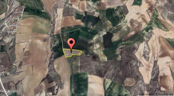 Güvenay - Çorum Hamamlıçay Köyü Satılık 10 Dönüm Tarla