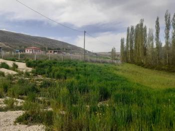 Güvenay - Çorum Yeni Osmancık Yolu Üzeri 550 M² Satılık Bahçe