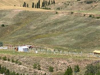 Güvenay - Çorum Serpin Köyü İlerisi Satılık Hobi Bahçesi