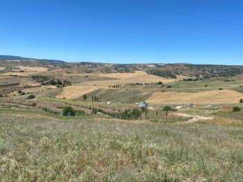 Güvenay - Çorum Serpin Köyü İlerisi Satılık Hobi Bahçesi