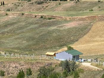 Güvenay - Çorum Serpin Köyü Civarı Satılık 500 M² Satılık Bahçe