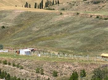 Güvenay - Çorum Serpin Köyü Civarı Satılık 500 M² Satılık Bahçe