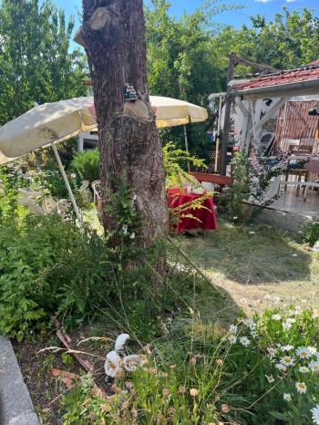 GÜVENAY - İÇERİDERE BAĞLARINA GELMEDEN 287 M² ARSA + BAĞ