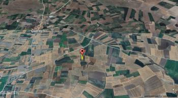 GÜVENAY - ÇORUM OVASARAY - GÜVEÇLİ ARASI 1,600 M² SATILIK TARLA 