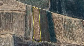 GÜVENAY - ÇORUM OVASARAY - GÜVEÇLİ ARASI 1,600 M² SATILIK TARLA 