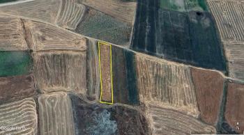 GÜVENAY - ÇORUM OVASARAY - GÜVEÇLİ ARASI 1,600 M² SATILIK TARLA 